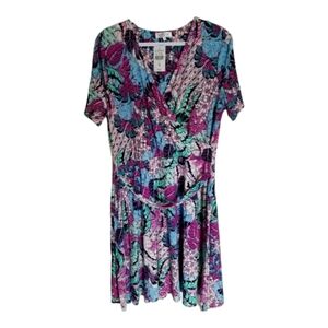 Colorful Northern Reflections Dress NWT Size LARGE
